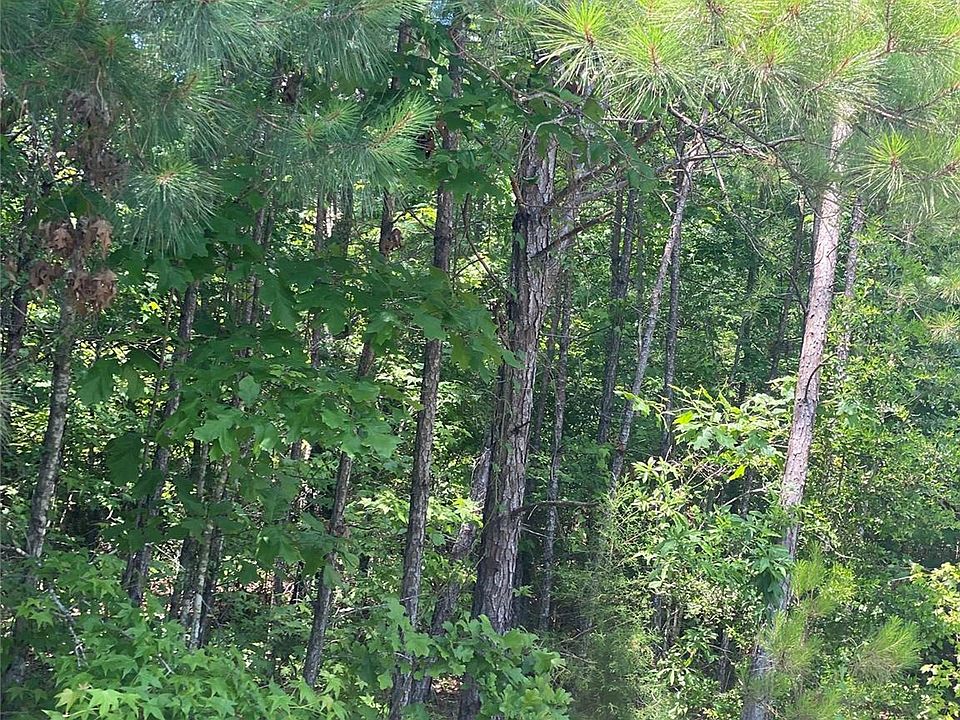 2nd image of 330 Huggins Rd