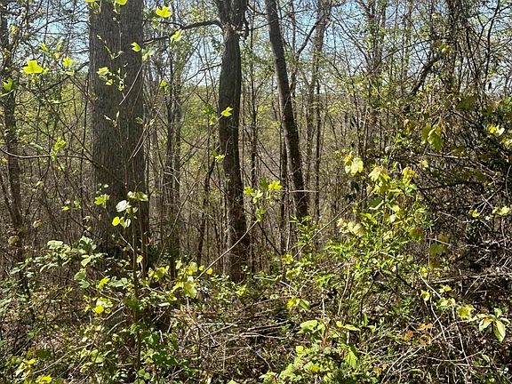 2nd image of LOT 27 Jones Ridge Rd