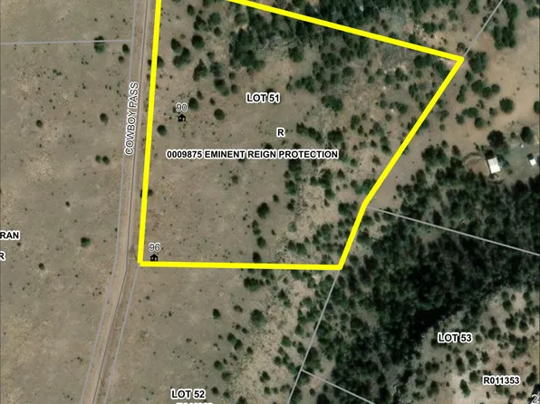 Cowboy Pass Lot 51, Quemado, NM 87829