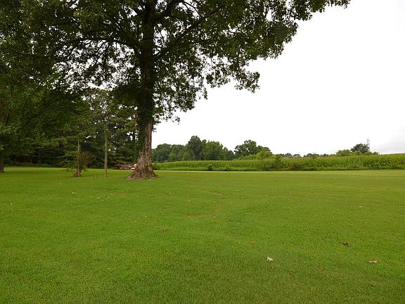 5th image of 4433 County Road 1223