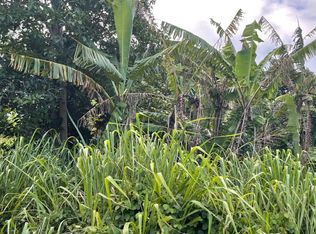 Keoki Rd, Naalehu, HI 96772