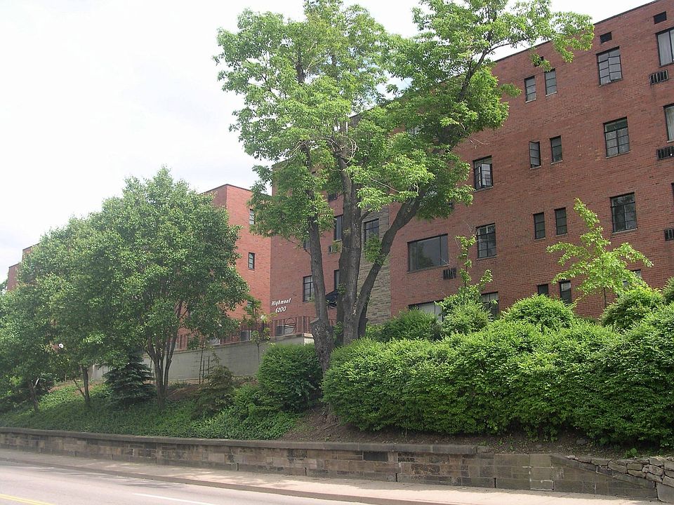 Street Level View