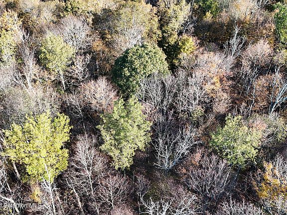 15th image of this home