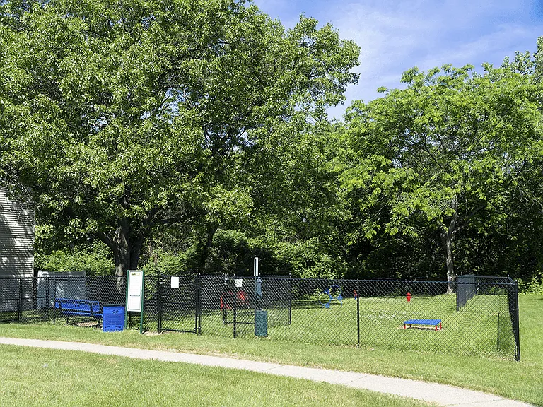 Agility Course for Dogs