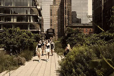 Rented by Prospect Management