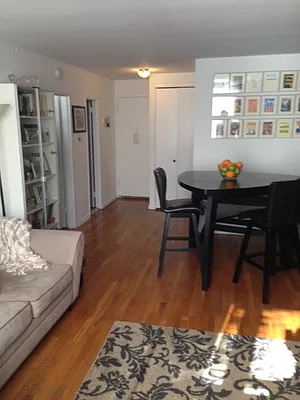 Rented by Eric Goodman Realty Corp | media 15