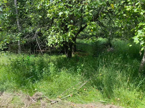 Walsh Rd, Cheboygan, MI 49721
