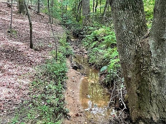 3rd image of Hudson Cajah Mountain Rd
