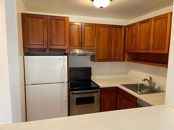 Kitchen with new oven/range combo and Bosch dishwasher.