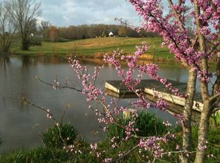 3034 Peeler Rd, Dexter, KY 42036