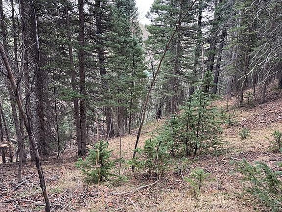 5th image of 132 Aspen Acres