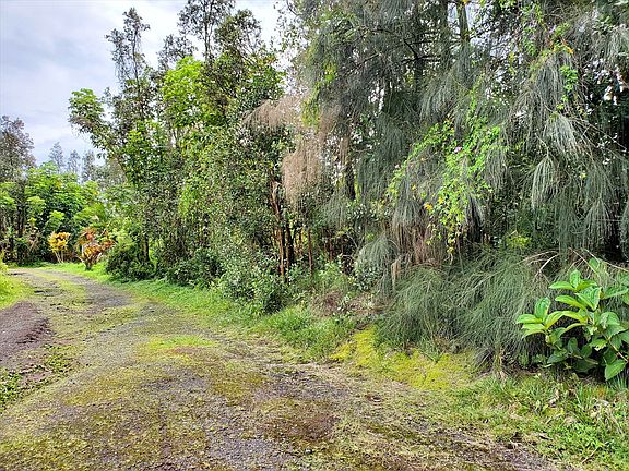3rd image of 16-1944 King Kamehameha Blvd Lot 24