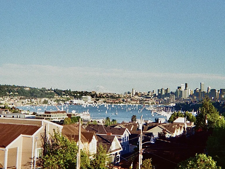 Roof Top Sail Boat Racing Scene !!