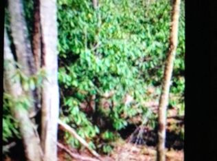 Shady Grove Rd, Tuckasegee, NC 28783