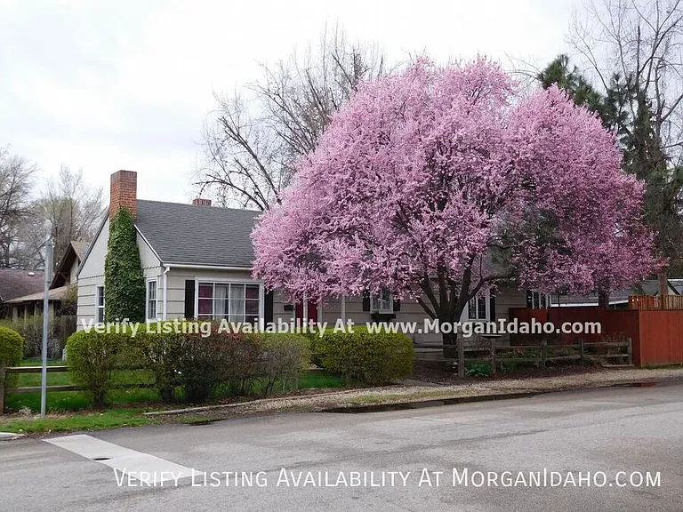 1501 W Dewey St — Photo 1