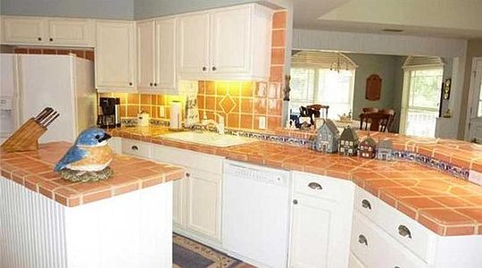 5th image of 1231 Tall Pines Dr