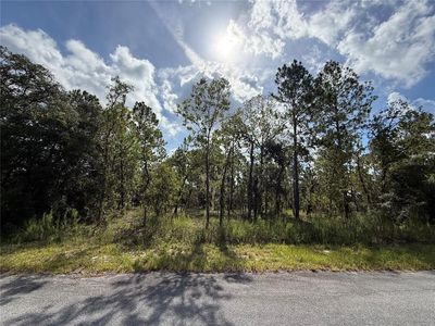 SW Temple Heights Ct LOT 47, Dunnellon, FL, 34431