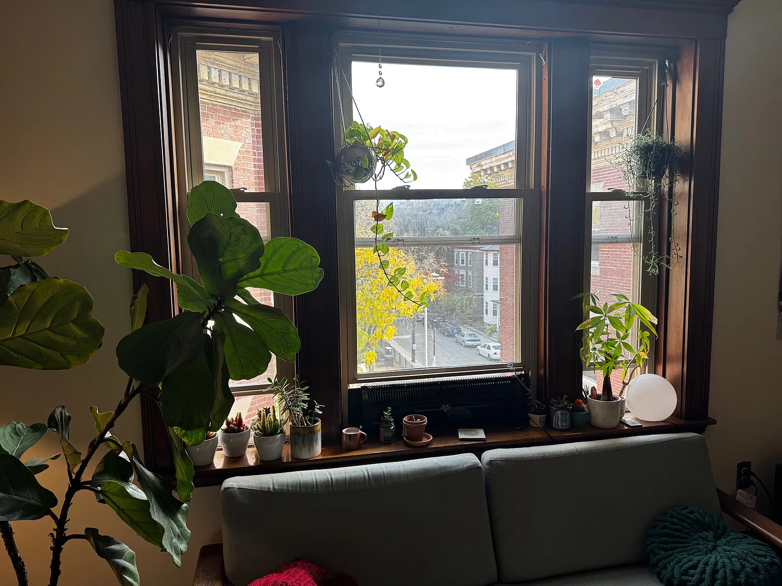 1 bed, 650 sqft, $3,200 — Photo 3
