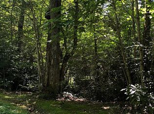 Puddingstone Pkwy, Banner elk, NC 28604