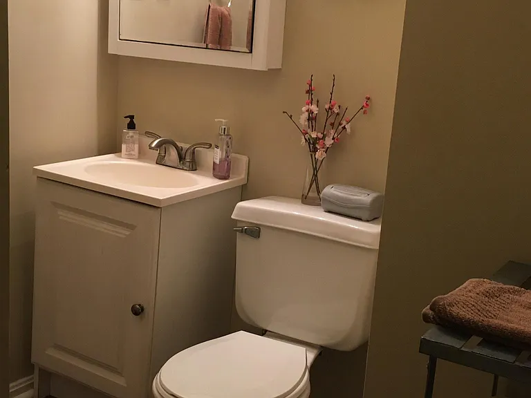 Downstairs full bathroom with shower.