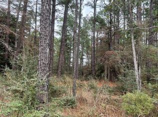 118 Teak Ln, Brookeland, TX 75931