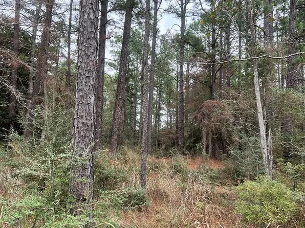 118 Teak Ln, Brookeland, TX 75931