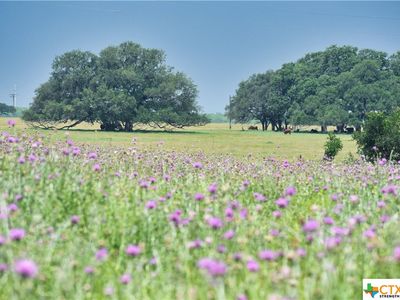 TRACT Gander Slough Rd #B, Kingsbury, TX, 78638