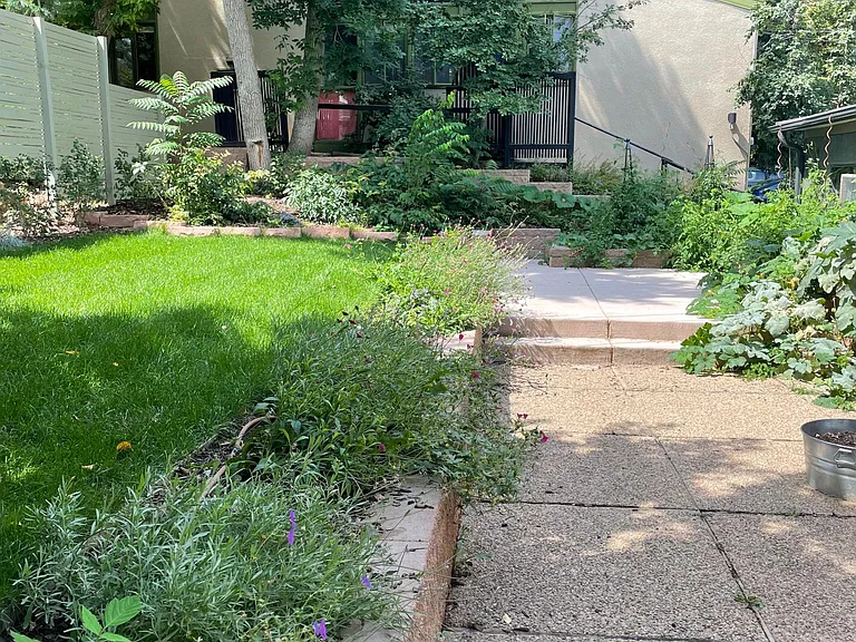Shared yard and vegetable garden