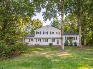 54 Meadowbrook Rd, Randolph, NJ 07869