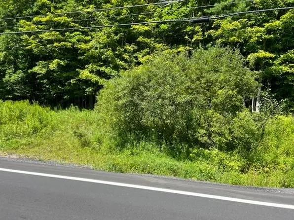 Dahlia Road W, Liberty, NY 12758