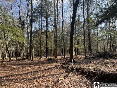 0 Fenner Rd, Sinclairville, NY, 14782