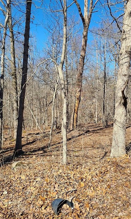 1st image of Exbury Ln #5
