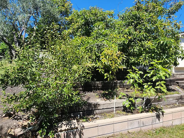 31 Shady Vista Rd — Photo 25