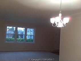 4th image of 126 Pewter Ln