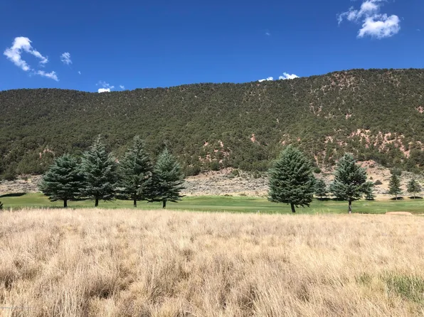 373 Golden Bear Dr, Carbondale, CO 81623