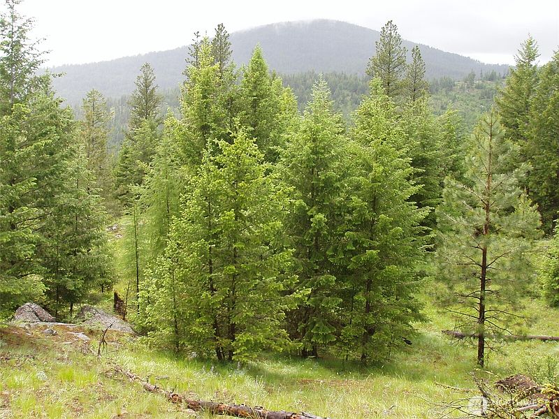 2nd image of 0 XXX Turner Lake Road N