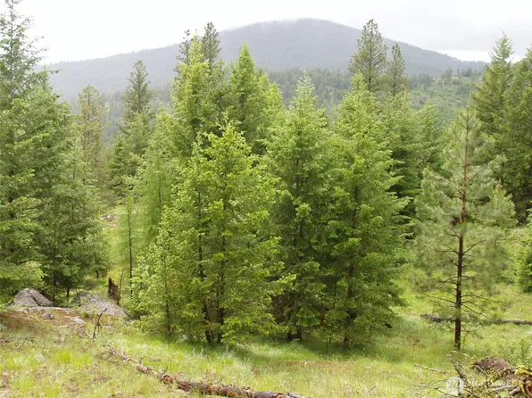 0 XXX Turner Lake Road N, Tonasket, WA 98855