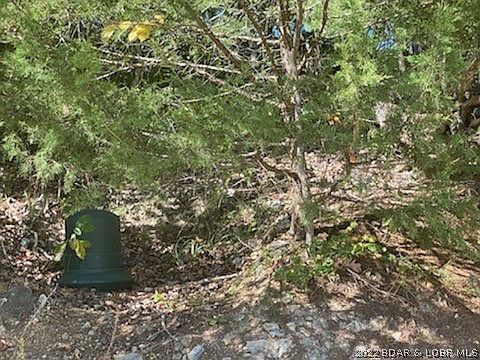 4th image of 12 & 13 Park Place Ln