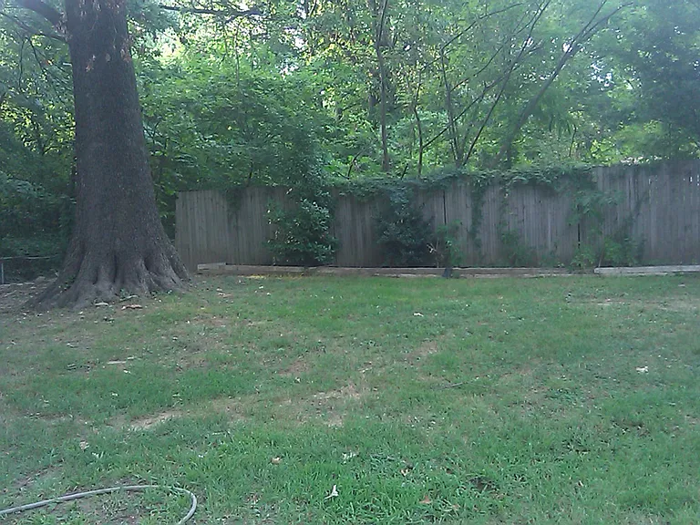Spacious Back yard