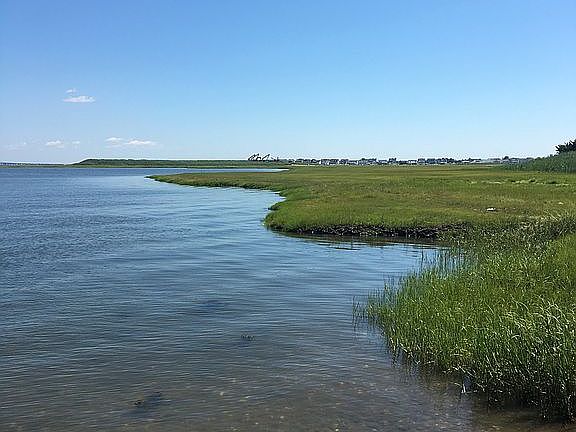 Back bay off our community 