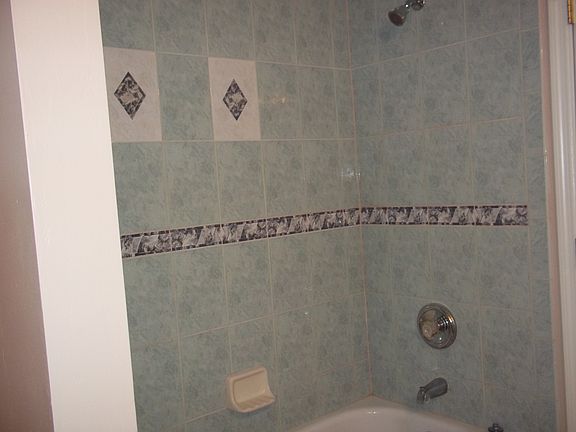 Master tub and shower
