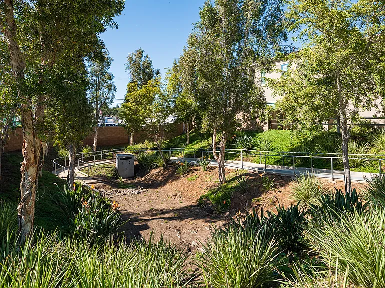 Walking Trail and Dog Park