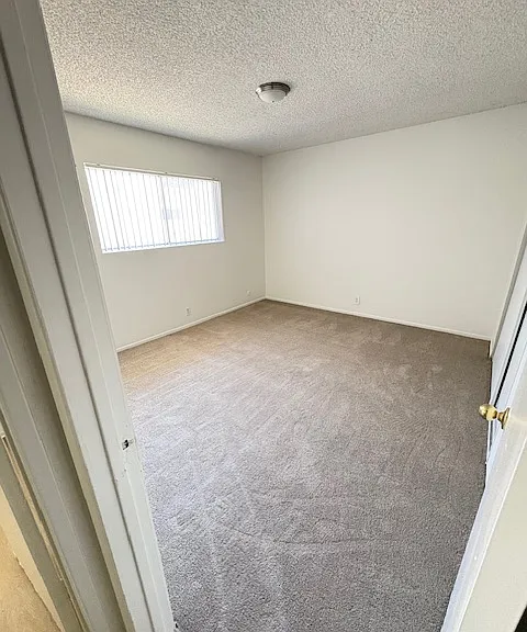 Brand new cozy carpet in the bedrooms