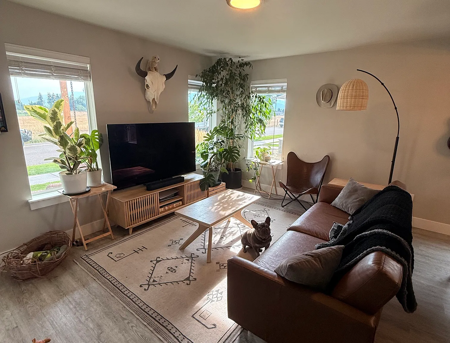 4712 Giada Drive — Photo 3