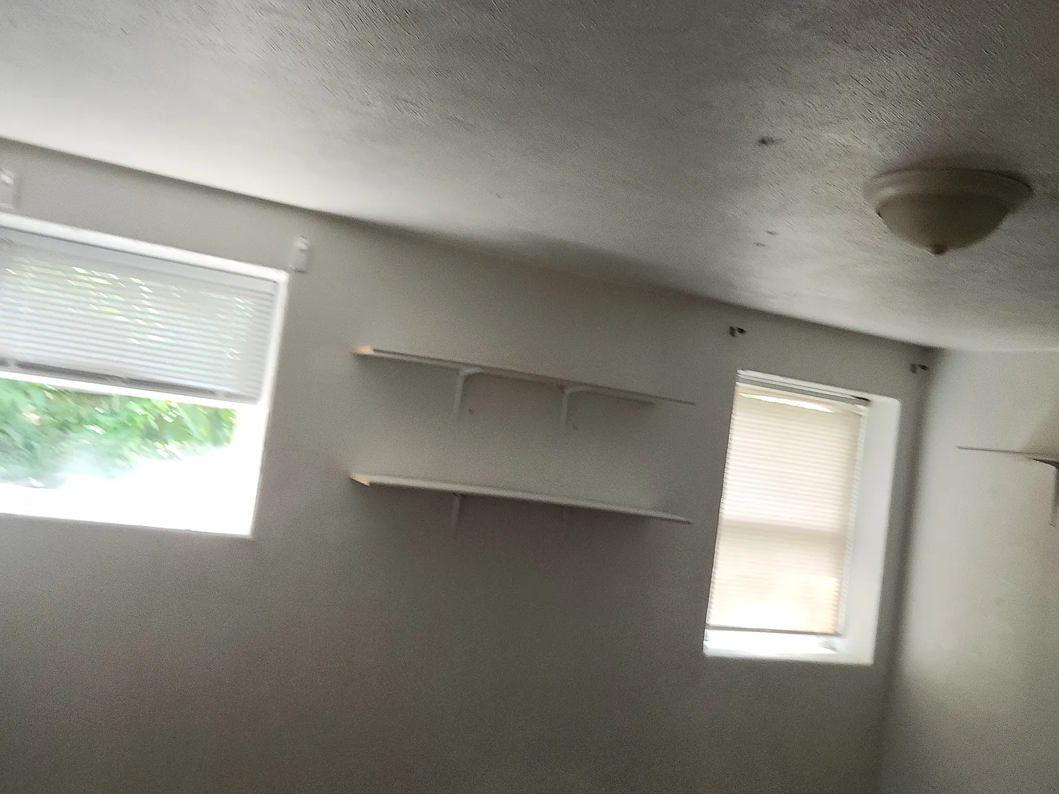 1 bed, $600 — Photo 1