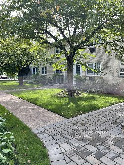 1 bed, $2,200 — Photo 4