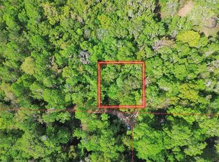 SE 41st Ter LOT 53, Belleview, FL 34420