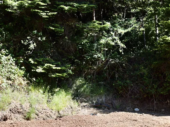 94324 Coldiron Hill Rd, Gold Beach, OR 97444