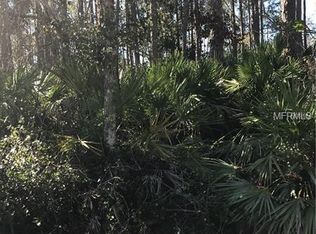 Lake Harney Rd, Osteen, FL 32764