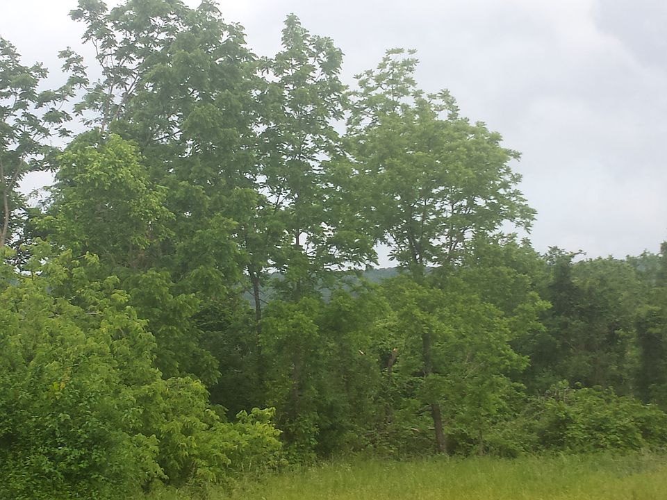 2nd image of 21345 Dobbs Mountain Rd